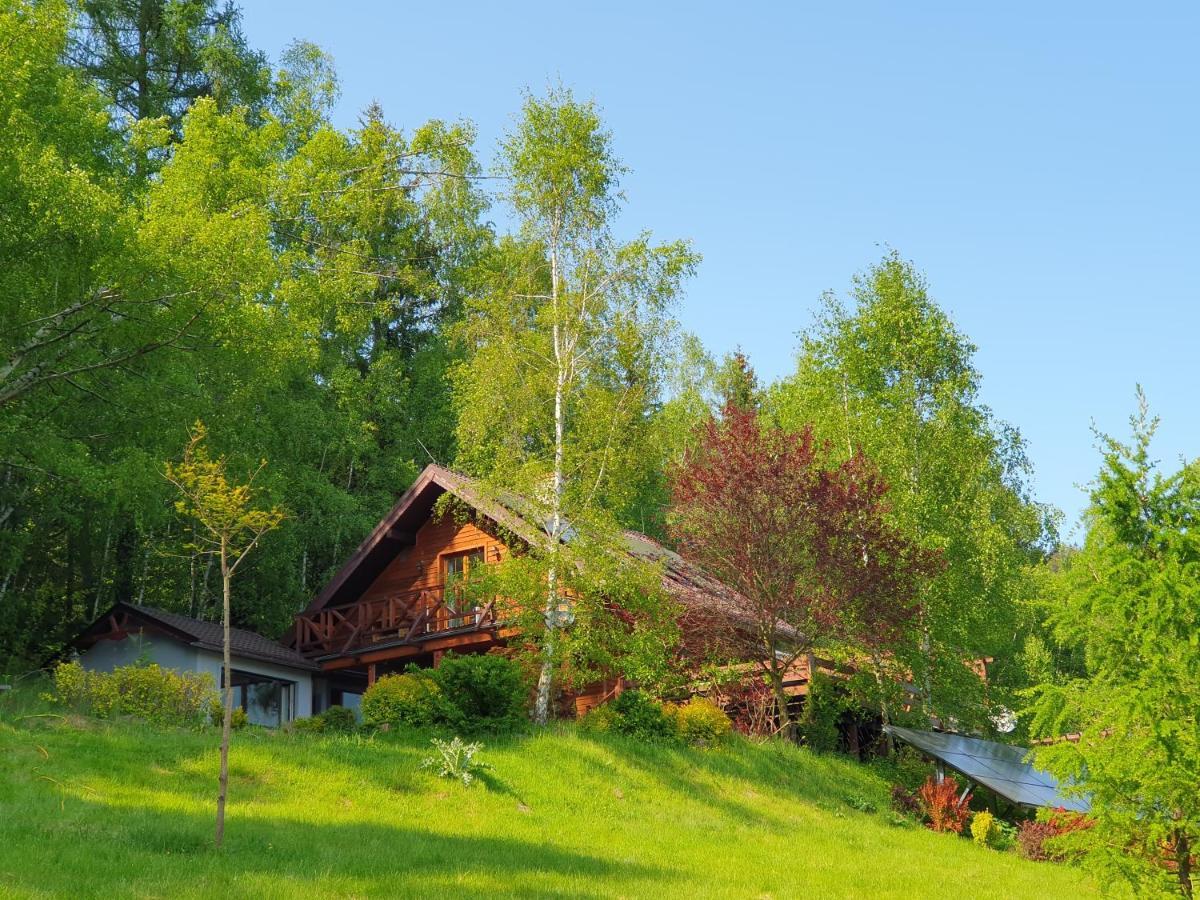 Апартаменты Ksiezycowa Dolina Лёндек-Здруй Экстерьер фото
